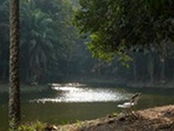 Bild "lingála:MV51.jpg"